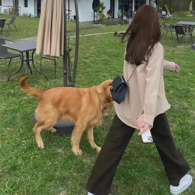 龙之心3:巫师的诅咒