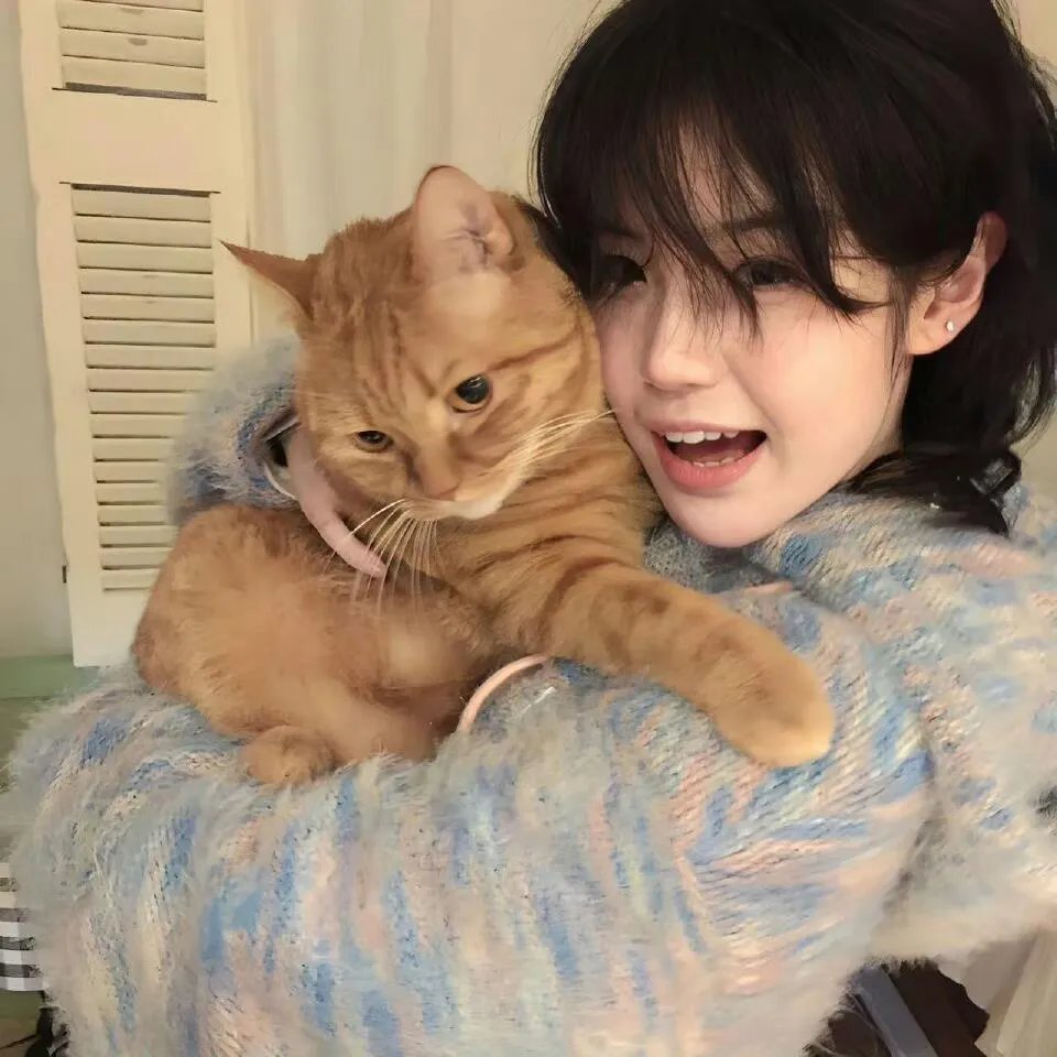 猫咪不跳舞